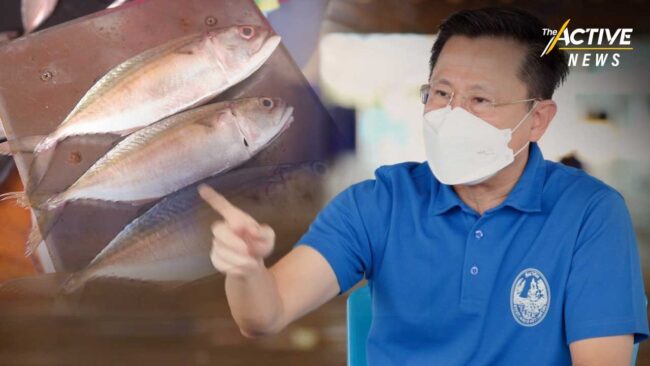 สมาคมประมงฯ แนะ รัฐ อย่าหลงทางออกประกาศ ตาม ม.57