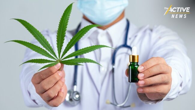 สธ.ตั้งอนุฯ 6 ด้าน คุม 'เสรีกัญชา' ทุกมิติ