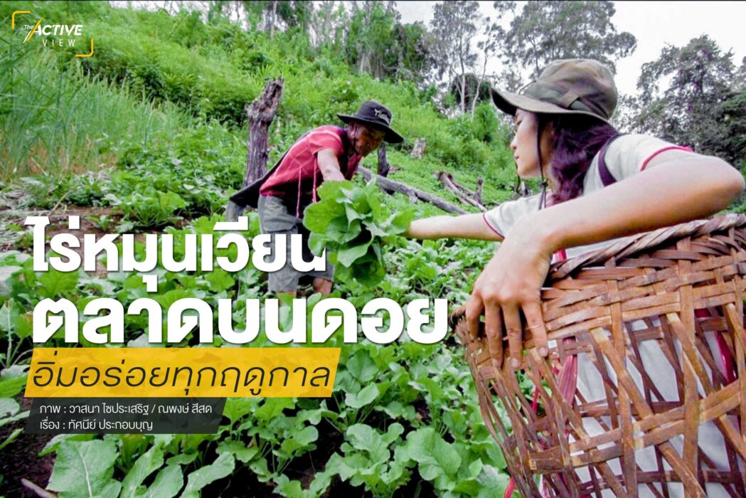 “ไร่หมุนเวียน ตลาดบนดอย” อิ่มอร่อยทุกฤดูกาล