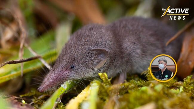 จับตา “ไวรัสเลย์วี” ระบาดในจีน ยังไม่แพร่จากคนสู่คน