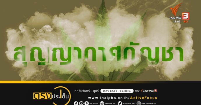 ความเห็นต่างร่าง พ.ร.บ กัญชา กัญชง