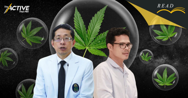 หยุด! สุญญากาศกัญชา