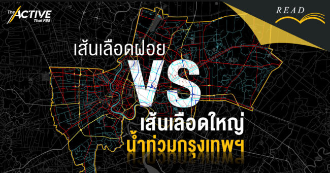 เส้นเลือดฝอย VS เส้นเลือดใหญ่ : น้ำท่วมกรุงเทพฯ