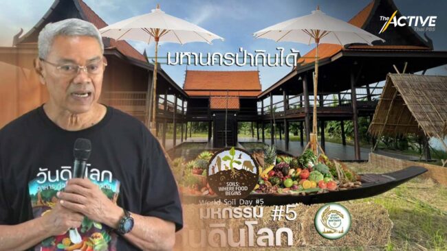 เตรียมประกาศ'ไทย'ศูนย์กลางความเป็นเลิศเรื่องดิน วันดินโลก 5 ธ.ค.นี้