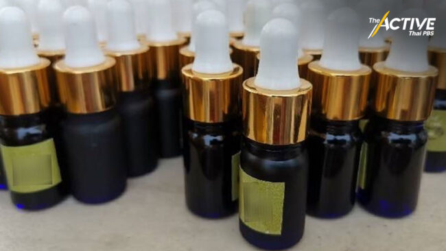 เร่งวิจัยสารสกัดกัญชา CBD หยอดใต้ลิ้น บำบัดผู้ติดยาบ้า