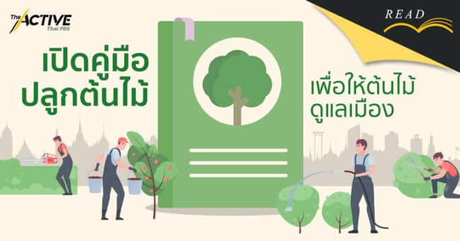 เปิดคู่มือปลูกต้นไม้ เพื่อให้ต้นไม้ดูแลเมือง