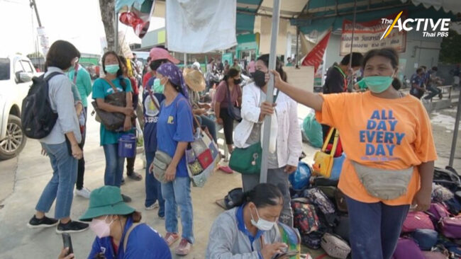 'แรงงานกีบหมู' ยังเข้าไม่ถึงกลไกจัดหางาน-ไร้สวัสดิการรองรับ