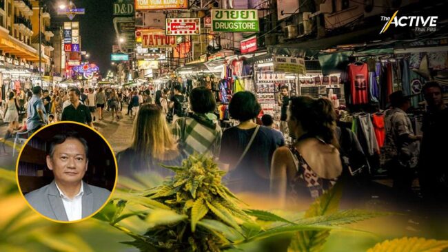 นายกสมาคมฯ ถ.ข้าวสาร เห็นด้วยคุมช่อดอกกัญชา ป้องกันตั้งขายข้างถนน