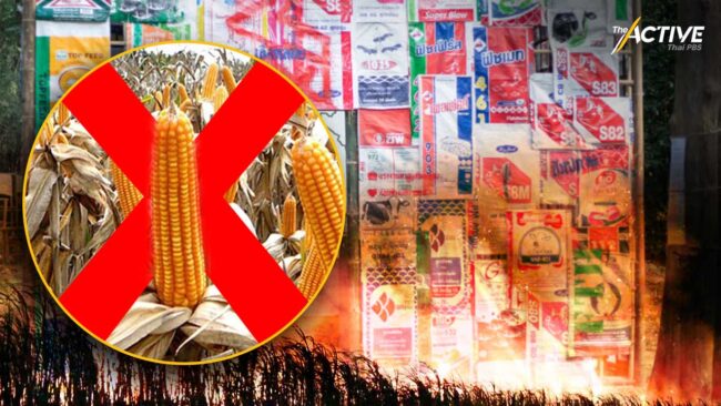 ศิลปะ สะท้อนปัญหาเกษตรพันธสัญญา แหล่งกำเนิดฝุ่นควันภาคเหนือ