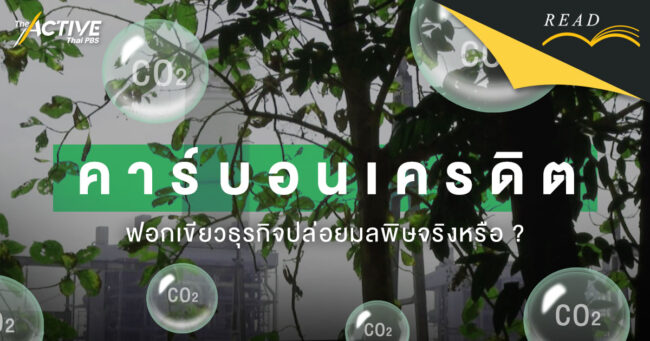 คาร์บอนเครดิต ฟอกเขียวธุรกิจปล่อยมลพิษจริงหรือ ?