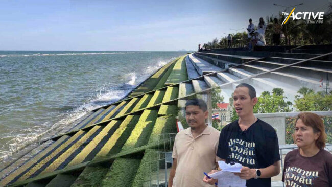 รอคำสั่งนายกฯ ตั้ง คกก.ทบทวนนโยบายกำแพงกันคลื่นกัดเซาะชายฝั่ง