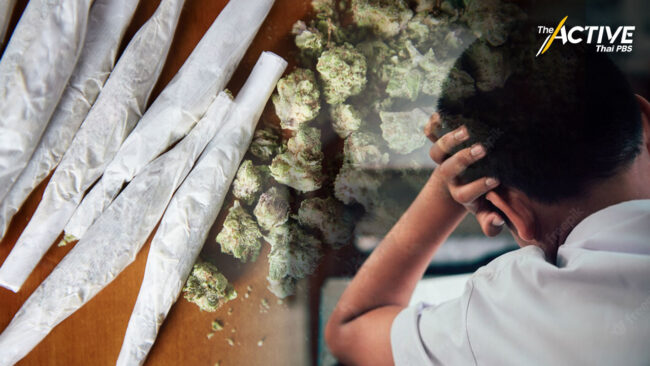 งานวิจัยฯ พบเยาวชนไทยสูบกัญชาพุ่งสูง 10 เท่า หลังพ้นบัญชียาเสพติด