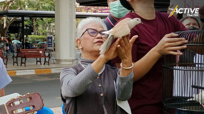 'ทิชา ณ นคร' วอนเข้าใจเจตนา 'ตะวัน-แบม' ปลุกสังคมหยุดความสูญเสีย