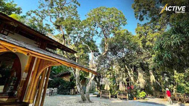 ฟื้นวิถีเกษตรดั้งเดิม ผ่านการอนุรักษ์สวนลิ้นจี่ 100 ปี