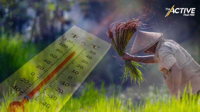 ไทยร้อนจัด ! คาดปีนี้ อาจสูงถึง 43 องศาเซลเซียส  เสี่ยงพายุฤดูร้อน​