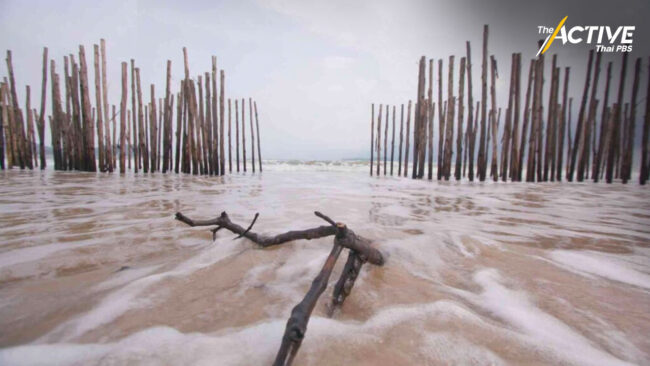 เปิดผลสำรวจ กำแพงกันคลื่น ส่วนใหญ่เห็นด้วย ต้องทำ EIA