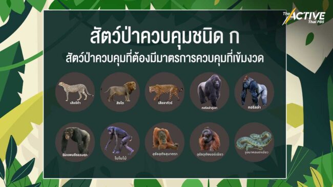 ขีดเส้น แจ้งครอบครองสัตว์ป่าควบคุม 10 ชนิดแรก ภายใน 16 มี.ค.นี้