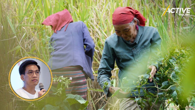 นักวิชาการ ชี้ นโยบายพรรคการเมือง ยังไม่ให้ความสำคัญกับกลุ่มชาติพันธุ์