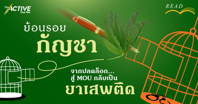 ย้อนรอย “กัญชา” จากปลดล็อก สู่ MOU กลับเป็นยาเสพติด