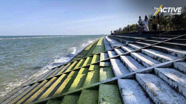 กำแพงกันคลื่นต้องทำ EIA มีผลบังคับใช้วันนี้ (7 มิ.ย. 66)