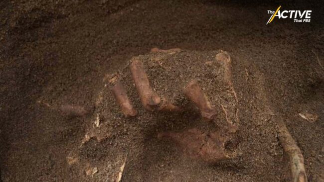 'กรมศิลป์' ส่งทีมตรวจสอบ 'โครงกระดูกมนุษย์' ขุดพบกลางเมืองนครฯ