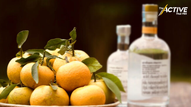 สุรากลั่นชุมชน จากส้มตกเกรด