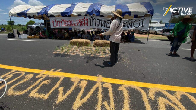 เครือข่ายคนฮักทุ่งกุลา ค้านเวที ค.2 EIA โรงไฟฟ้า-โรงงานน้ำตาล