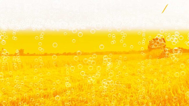 เกษตรกร อ.ภาชี หวัง ร่างพ.ร.บ.สุราก้าวหน้า หนุนชุมชนผลิตเบียร์จากตอซังข้าว