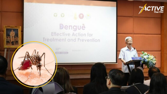 ปรับแนวทางรักษาโรคไข้เลือดออก เหตุระยะหลังอาการไม่เหมือนที่เคยพบ