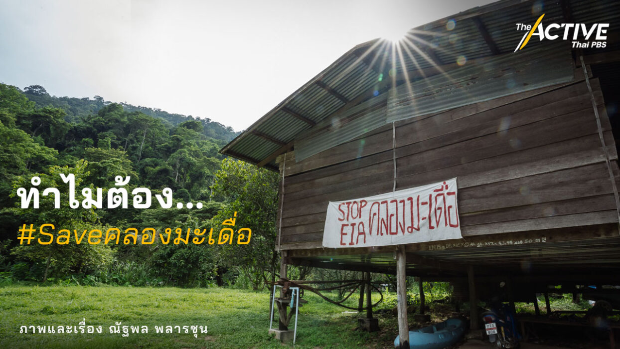 ทำไมต้อง #Saveคลองมะเดื่อ