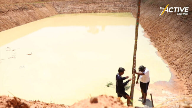 เอลนีโญแผลงฤทธิ์ ปีนี้ฝนสะสมต่ำกว่าปกติ 21 %