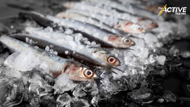 เตือนประชาชนเลือกอาหารทะเลที่ไม่มีการปนเปื้อน หลังเหตุน้ำมันรั่ว