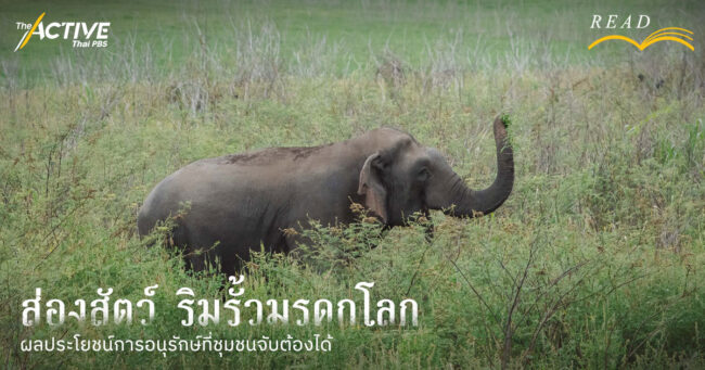 ส่องสัตว์ ริมรั้วมรดกโลก : ผลประโยชน์การอนุรักษ์ที่ชุมชนจับต้องได้