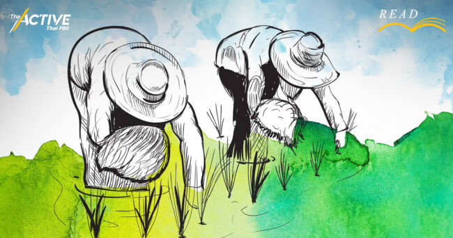 มาตรการพักหนี้เกษตรกรในอดีต ช่วยเกษตรกรไทยได้จริงไหม?