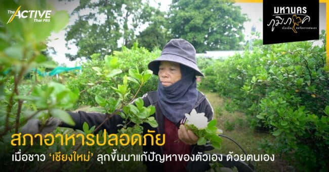 'สภาอาหารปลอดภัย'   เมื่อชาวเชียงใหม่รวมพลัง ลุกขึ้นมาแก้ปัญหาของตัวเองด้วยตนเอง