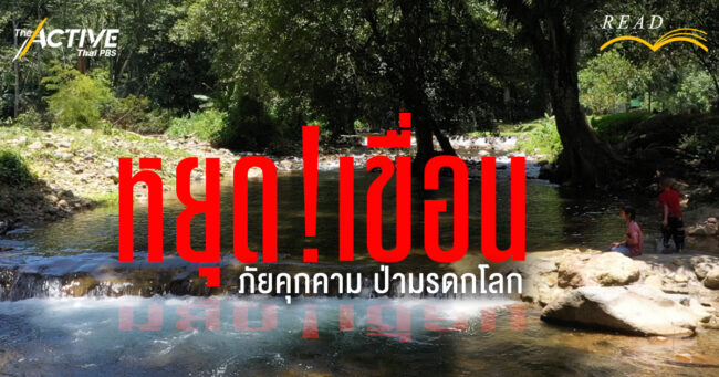 หยุด! เขื่อน... ภัยคุกคาม ป่ามรดกโลก