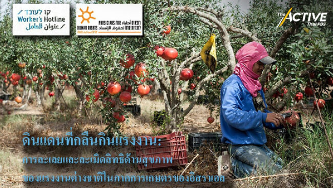 แรงงานไทยถูกส่งไปอิสราเอล สูญเสียจากสงคราม-การทำงานหนัก นี่ไม่ใช่ครั้งแรก