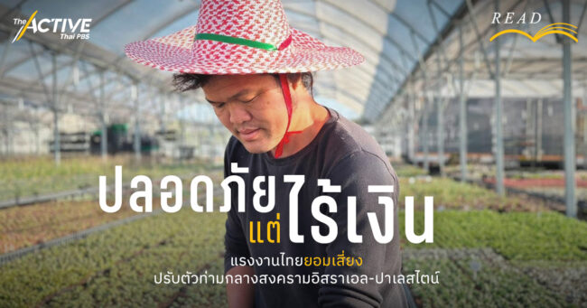 “ปลอดภัย แต่ไร้เงิน” แรงงานไทยยอมเสี่ยง ปรับตัวท่ามกลางสงครามอิสราเอล-ปาเลสไตน์