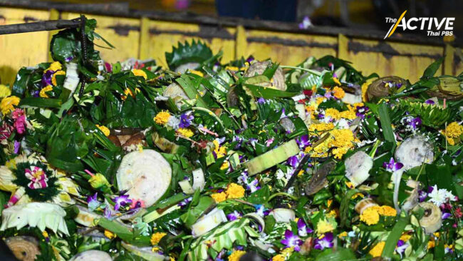 กระทง กทม.​ เพิ่มขึ้นทะลุ 6.4 แสนใบ