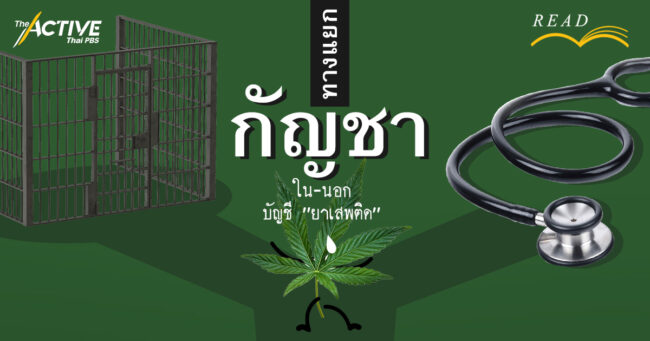 ทางแยกกัญชา “ใน-นอก” บัญชี “ยาเสพติด”