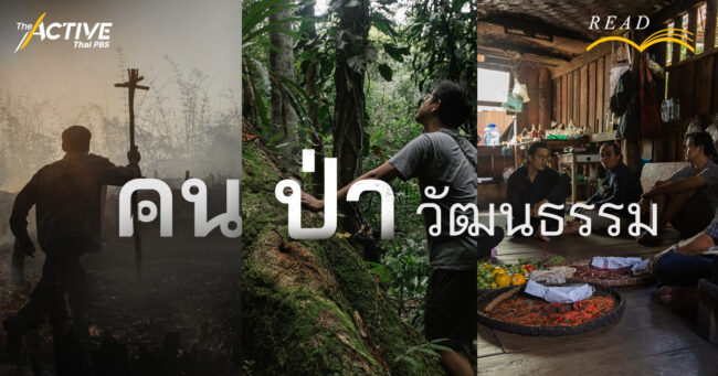 คน ป่า วัฒนธรรม