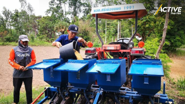 ดันนโยบาย​ 'ปลูกข้าวยั่งยืน ลดโลกร้อน'  นำร่องที่แรกของเอเชีย