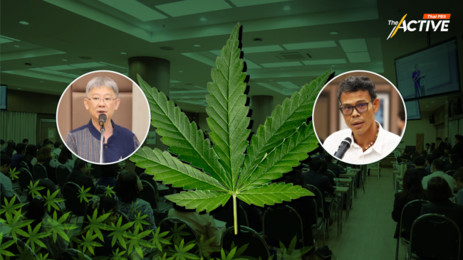 จี้ สธ. แก้นิยาม “สันทนาการ” ในร่าง พ.ร.บ.กัญชา ก่อน ชง ครม.