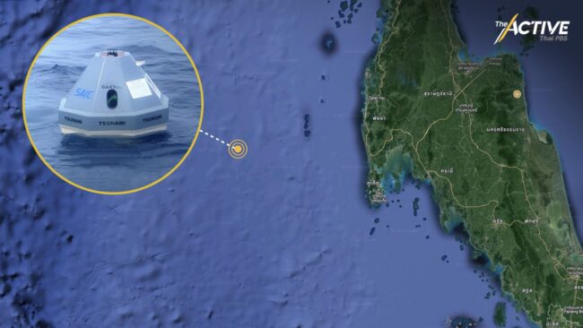 พบข้อมูล 