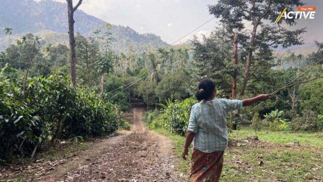 เปิดใจ เกษตรกรชุมพร หวั่น บ้าน-ที่ดินทำกิน ถูกเวนคืน สร้างแลนด์บริดจ์