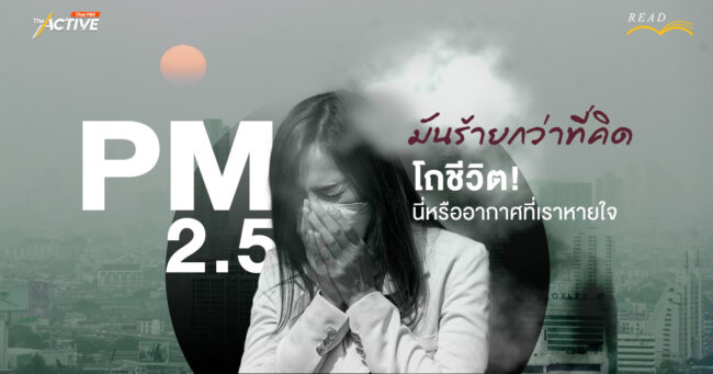 PM2.5 มันร้ายกว่าที่คิด... โถชีวิต! นี่หรืออากาศที่เราหายใจ
