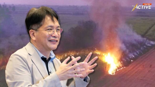 นายกฯตกใจ เผาอ้อยช้าไป? แก้ปัญหาไม่ทัน