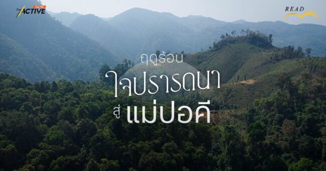 ฤดูร้อน...ใจปรารถนาสู่แม่ปอคี