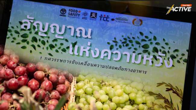 สัญญาณบวกหลังแบน 3 สารเคมีเกษตร พบนำเข้า-ใช้ลดลง