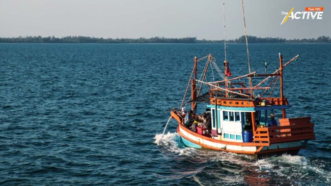 จับตา กมธ.ประมงฯ ส่อเปิดทาง เรือปั่นไฟปลากะตัก